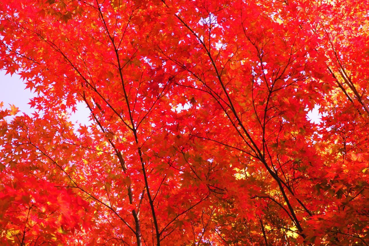 Kishutetsudo Karuizawa Hotel Tsumagoi Exterior foto